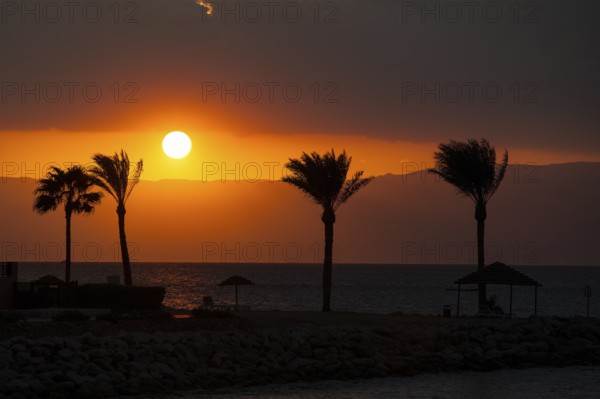 Atmospheric sunset view with four palm trees of Aqaba Jordanian shore east coast from across Red Sea on west coast in Israel near Eilat, Aqaba, Jordan