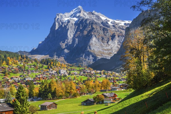 Autumn landscape with village overview and Wetterhorn 3690m, Grindelwald, Lütschinental, Bernese Oberland, Canton of Bern, Switzerland