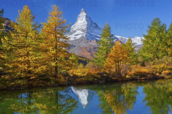 Matterhorn 4478 m with reflection in Lake Grindji in autumn, Zermatt, Mattertal, Valais, Switzerland