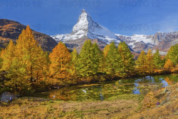 Matterhorn 4478 m above Lake Grindji in autumn, Zermatt, Mattertal, Valais, Switzerland