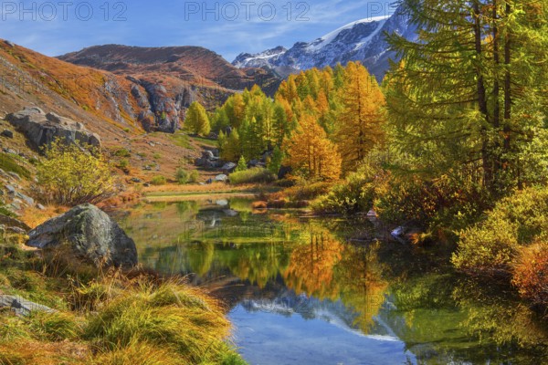 Grindjisee on the 5-lake hiking trail in autumn, Zermatt, Mattertal, Valais, Switzerland