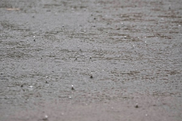 Raindrops falling on a lake, autumn, Germany