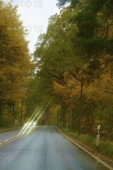 Car Road in autumn, autumn leaves, Germany