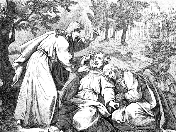 Jesus and the Sleeping Disciples, Gospel of Mark, Chapter 14, Judas the Traitor, Warrior with Weapons, Watching, Kissing, Seizing, Sword, Murderer, New Testament, Bible, Historical Illustration 1877