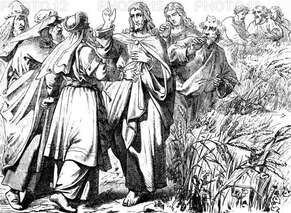 The healing of the dried hand on the Sabbath, Gospel of Mark, chapter 3, healing, doing good on the Sabbath, keeping life, cornfield, group, New Testament, Bible, historical illustration 1877
