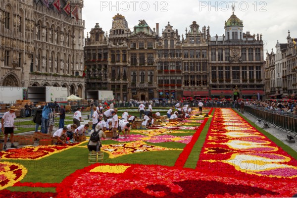 The Grand Place or Grote Markt has been decorated with a carpet of flowers every 2 years since 1971, Brussels, Belgium