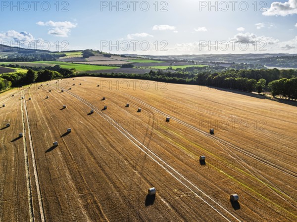 Straw bales in the Scottish fields from a drone, Southeast Scotland, UK