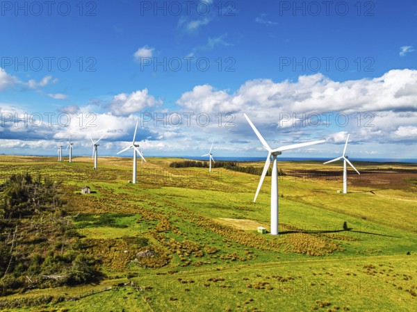 Wind Farm from a drone in southeast Scotland, UK