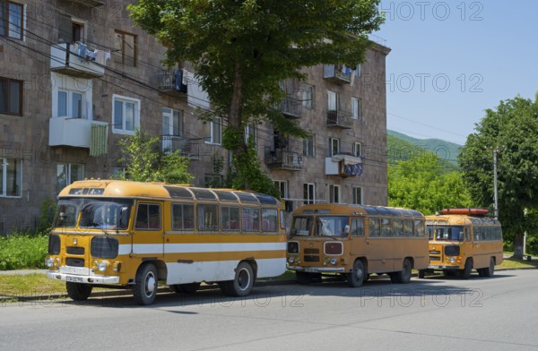 Three orange buses parked in a row on a sunny street next to a building, PAZ-672, minibus from Soviet manufacturer Pavlovsky, Armenia