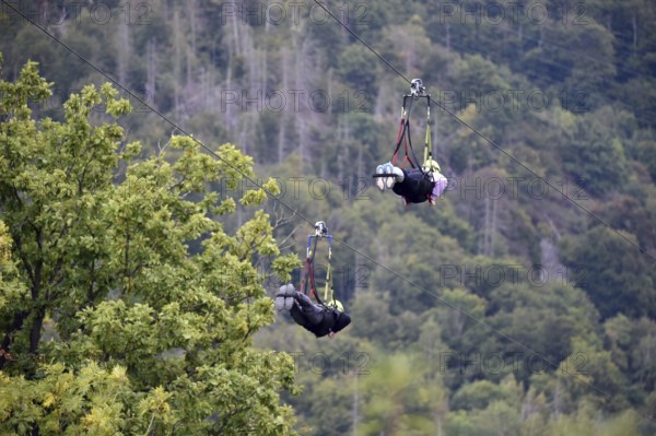 Megazipline cable car in the Harz Mountains across the Rappbode Reservoir, Saxony-Anhalt, Germany
