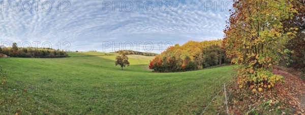 Wide panoramic view with green meadow and colorful autumn forest, Siegen
