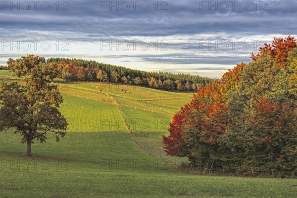 Wide autumn landscape with fields and forests under cloudy sky, Siegen