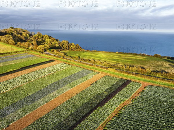 Fields and Farms at evening sun from a drone, Shaldon, Torquay, Devon, England, United Kingdom