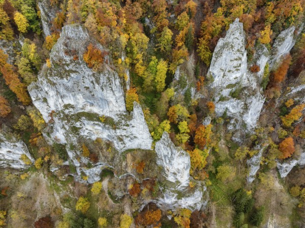 Aerial view, top down view of distinctive rock towers, Weissjura, Jurassic limestone cliffs, limestone rocks, surrounded by autumn vegetation, mixed forest, beech forest, upper Danube valley, Sigmaringen district, Baden-Württemberg, Germany