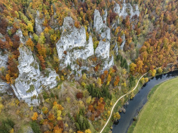 Aerial view of distinctive rock towers, Jurassic limestone cliffs, Weissjura, Jura cliffs, limestone rocks surrounded by autumn vegetation, mixed forest, beech forest, lower right the Danube and the Danube cycle path, hiking trail, Upper Danube Valley, Sigmaringen district, Baden-Württemberg, Germany