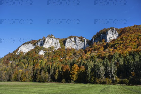 View across the Danube to the distinctive Hausener Zinnen, climbing rocks, Jurassic limestone cliffs, Weissjura, Jura rocks, limestone rocks, surrounded by autumnal vegetation, Hausen im Tal, Upper Danube Valley, Baden-Württemberg, Germany