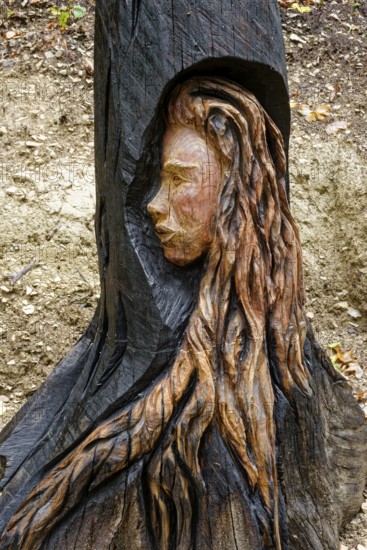 Wooden sculpture The Face of Urschel, Pfullinger Sagenweg, stories and legends, by woodsaw artist Billy Tröge, Ursulaberg, Pfullingen, Baden-Württemberg, Germany