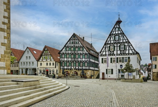 Historic half-timbered houses and market fountains, market square, Pfullingen, Baden-Württemberg, Germany