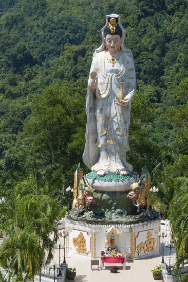 Guan Yin statue, Wat Bang Riang, Buddhist temple complex, Buddhist temple, Thap Put, Phang Nga Phang Nga province, Thailand