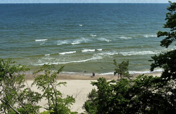 View from the Langer Berg viewpoint across the sandy beach to the Baltic Sea, Baltic resort Heringsdorf, Usedom island, Mecklenburg-Western Pomerania, Germany
