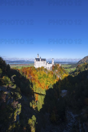 The majestic Neuschwanstein Castle surrounded by autumn-colored trees under a bright blue sky, Schwangau, Königswinkel, Ostallgäu, Allgäu, Swabia, Bavaria, Germany