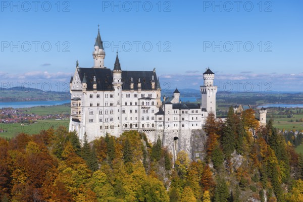The nearby Neuschwanstein Castle stands majestically above autumn trees and blue horizons, Schwangau, Königswinkel, Ostallgäu, Allgäu, Swabia, Bavaria, Germany