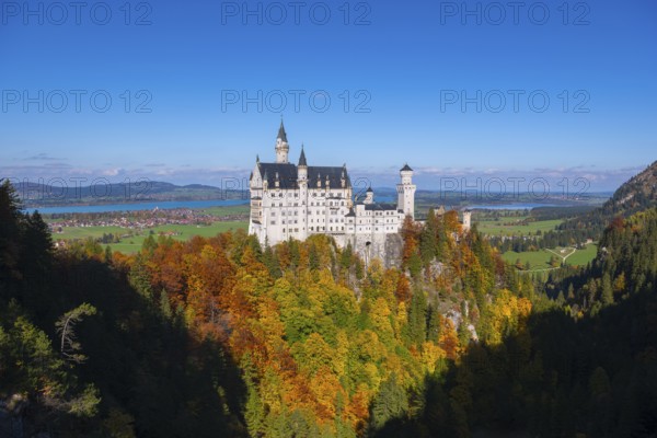 The magnificent Neuschwanstein Castle surrounded by autumn colors and vast green hills, Schwangau, Königswinkel, Ostallgäu, Allgäu, Swabia, Bavaria, Germany