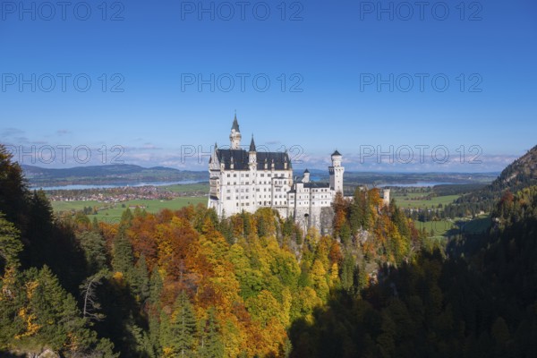 The majestic Neuschwanstein Castle rises above colorful autumn trees against a blue sky, Schwangau, Königswinkel, Ostallgäu, Allgäu, Swabia, Bavaria, Germany