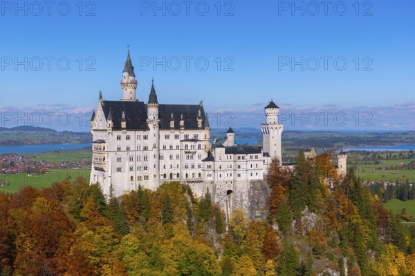 Impressive Neuschwanstein Castle in autumn landscape, surrounded by colorful trees and under blue skies, Schwangau, Königswinkel, Ostallgäu, Allgäu, Swabia, Bavaria, Germany
