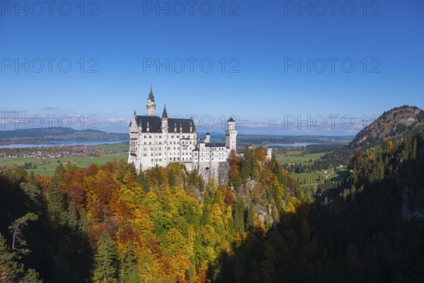 The magnificent Neuschwanstein Castle is enthroned over colorful forests with a bright blue sky, Schwangau, Königswinkel, Ostallgäu, Allgäu, Swabia, Bavaria, Germany