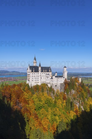 Neuschwanstein Castle overlooks the autumn trees and blends harmoniously into the landscape, Schwangau, Königswinkel, Ostallgäu, Allgäu, Swabia, Bavaria, Germany