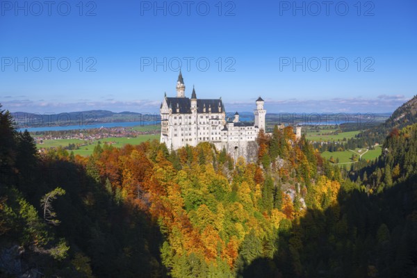 The impressive Neuschwanstein Castle in front of a vast autumn landscape with bright blue sky, Schwangau, Königswinkel, Ostallgäu, Allgäu, Swabia, Bavaria, Germany