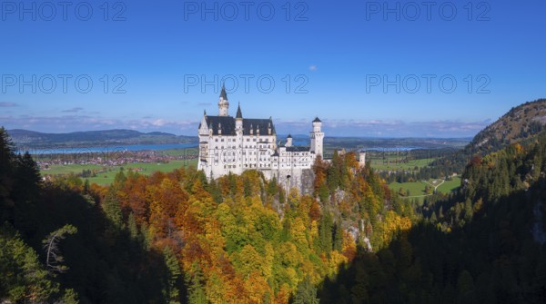 Neuschwanstein Castle overlooks a vast autumn landscape under clear skies, Schwangau, Königswinkel, Ostallgäu, Allgäu, Swabia, Bavaria, Germany