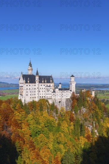 The fairytale Neuschwanstein Castle towers over an autumnal forest in front of vast landscapes, Schwangau, Königswinkel, Ostallgäu, Allgäu, Swabia, Bavaria, Germany