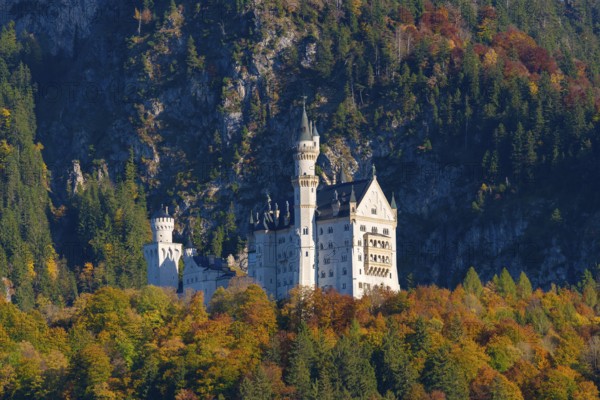 The impressive Neuschwanstein Castle in front of the colorful autumn forest and rock landscape of the Alps, Schwangau, Königswinkel, Ostallgäu, Allgäu, Swabia, Bavaria, Germany