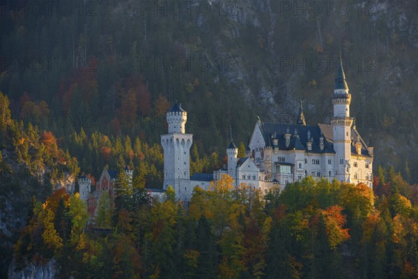 The magnificent Neuschwanstein Castle nestled in a colorful autumn forest against a mountain backdrop, Schwangau, Königswinkel, Ostallgäu, Allgäu, Swabia, Bavaria, Germany