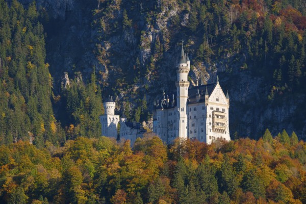 Neuschwanstein Castle surrounded by autumn-colored forests against a dramatic mountain backdrop, Schwangau, Königswinkel, Ostallgäu, Allgäu, Swabia, Bavaria, Germany