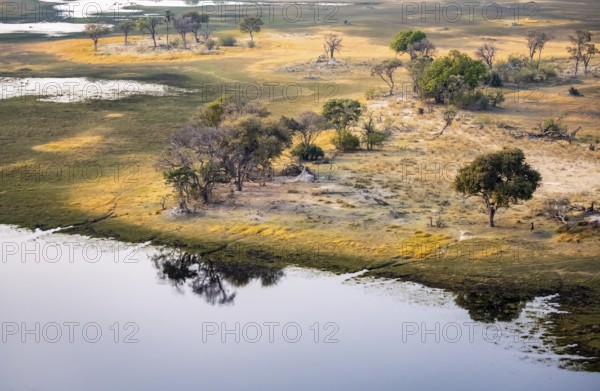 Savanna landscape on the river, aerial view, Okavango Delta, Botswana