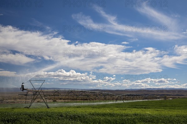 Alcova, Wyoming - Sprinklers water a crop growing in the Wyoming desert. Water in this otherwise dry area comes from the nearby North Platte River