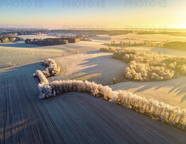 Bird Eye Perspective of Frost Covered Farmland. Seasonal Agricultural Scenery, winter and autumn scene, blue sky with golden light at sunrise, AI generated