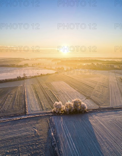 Bird Eye Perspective of Frost Covered Farmland. Seasonal Agricultural Scenery, winter and autumn scene, blue sky with golden light at sunrise, AI generated