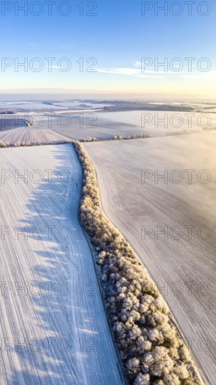 Bird Eye Perspective of Frost Covered Farmland. Seasonal Agricultural Scenery, winter and autumn scene, blue sky with golden light at sunrise, AI generated