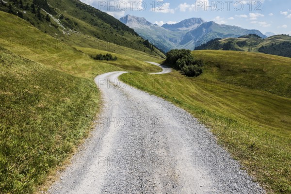 Mountain landscape and winding road, Auenfeldalpe, Warth, Bregenzerwald, Vorarlberg, Alps, Austria