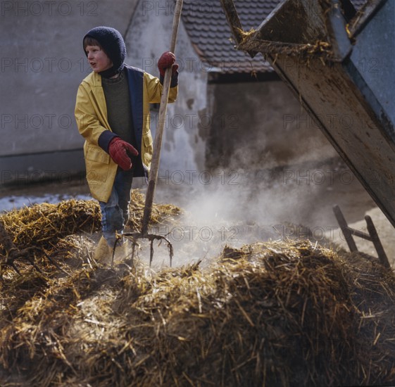 Little boy, eight years old, standing with a pitchfork on a steaming manure heap, Eckenhaid, Middle Franconia, Bavaria, Germany