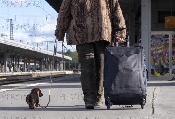 Traveler with trolley and dachshund on a leash, on a platform at Essen Central Station, North Rhine-Westphalia, Germany