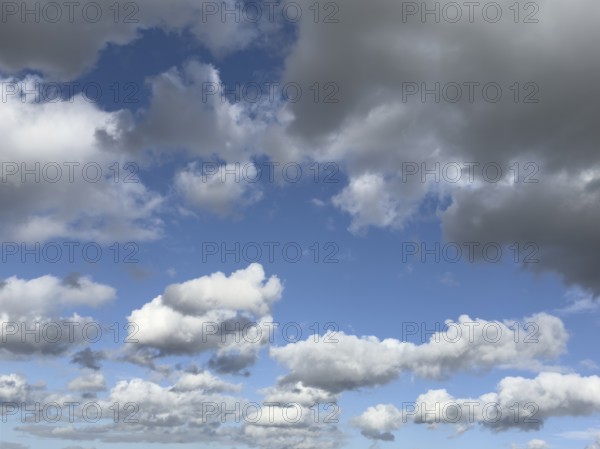 White clouds driven by approaching storm Cumulus above Stratocumulus loose to thick cloudiness cloudy against blue sky, international