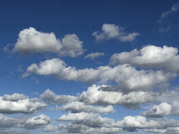 White clouds Cumulus and Stratocumulus driven by approaching storm cloudy against blue sky, international