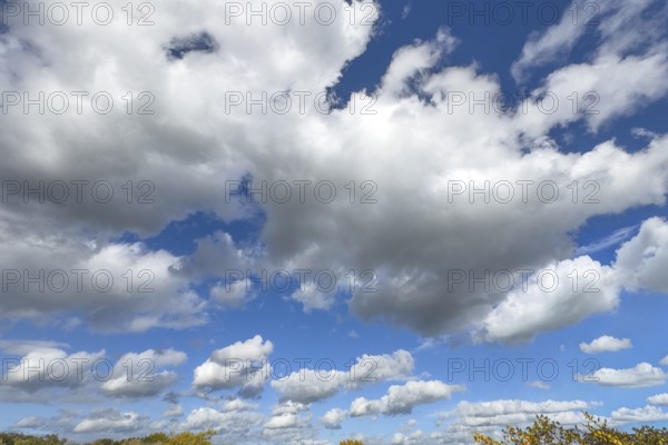 White clouds driven by approaching storm Cumulus above Stratocumulus dense cloud cover against blue sky, international