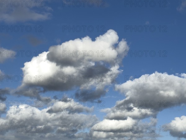 Cloud field of Stratocumulus Stratocumulus clouds on blue sky, cloudy, international