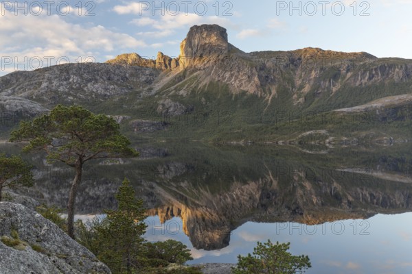 Morning dream over the quiet Steigtindvatnet near Bodø. Pine forest on the rock face at sunrise